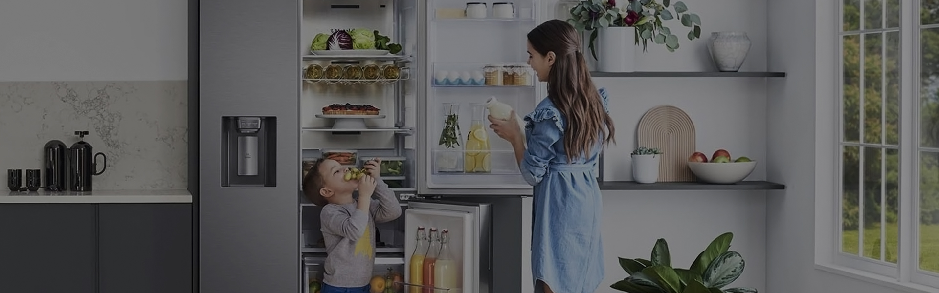 Refrigerator Deodorizer Background